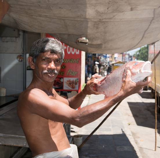 :Sri Lanka:Шри Ланка Галерея:DSC_2316.jpg