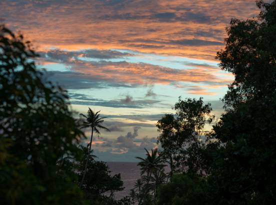 :Sri Lanka:Шри Ланка Галерея:DSC_2268.jpg