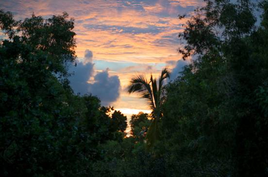 :Sri Lanka:Шри Ланка Галерея:DSC_2269.jpg