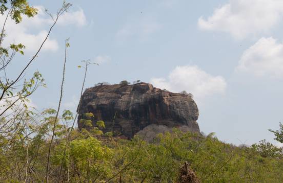 :Sri Lanka:Шри Ланка Галерея:DSC_0857.jpg