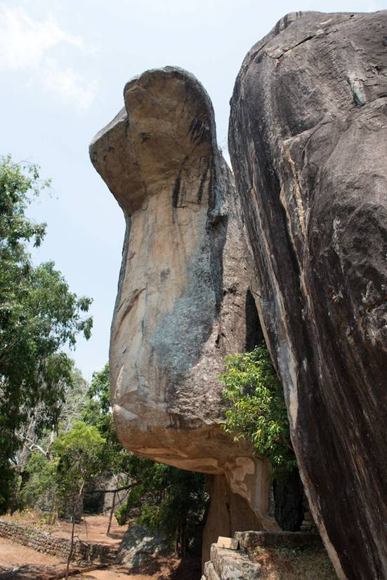 :Sri Lanka:Шри Ланка Галерея:DSC_1009.jpg