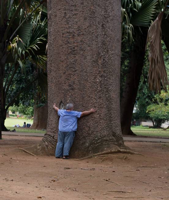 :Sri Lanka:Шри Ланка Галерея:DSC_1498.jpg