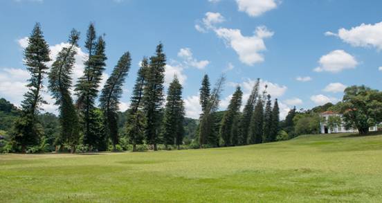 :Sri Lanka:Шри Ланка Галерея:DSC_1448.jpg