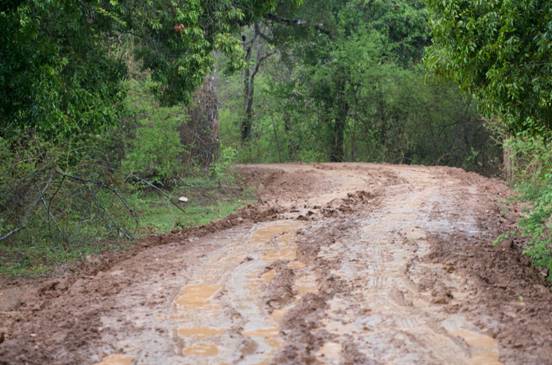 :Sri Lanka:Шри Ланка Галерея:DSC_1976.jpg